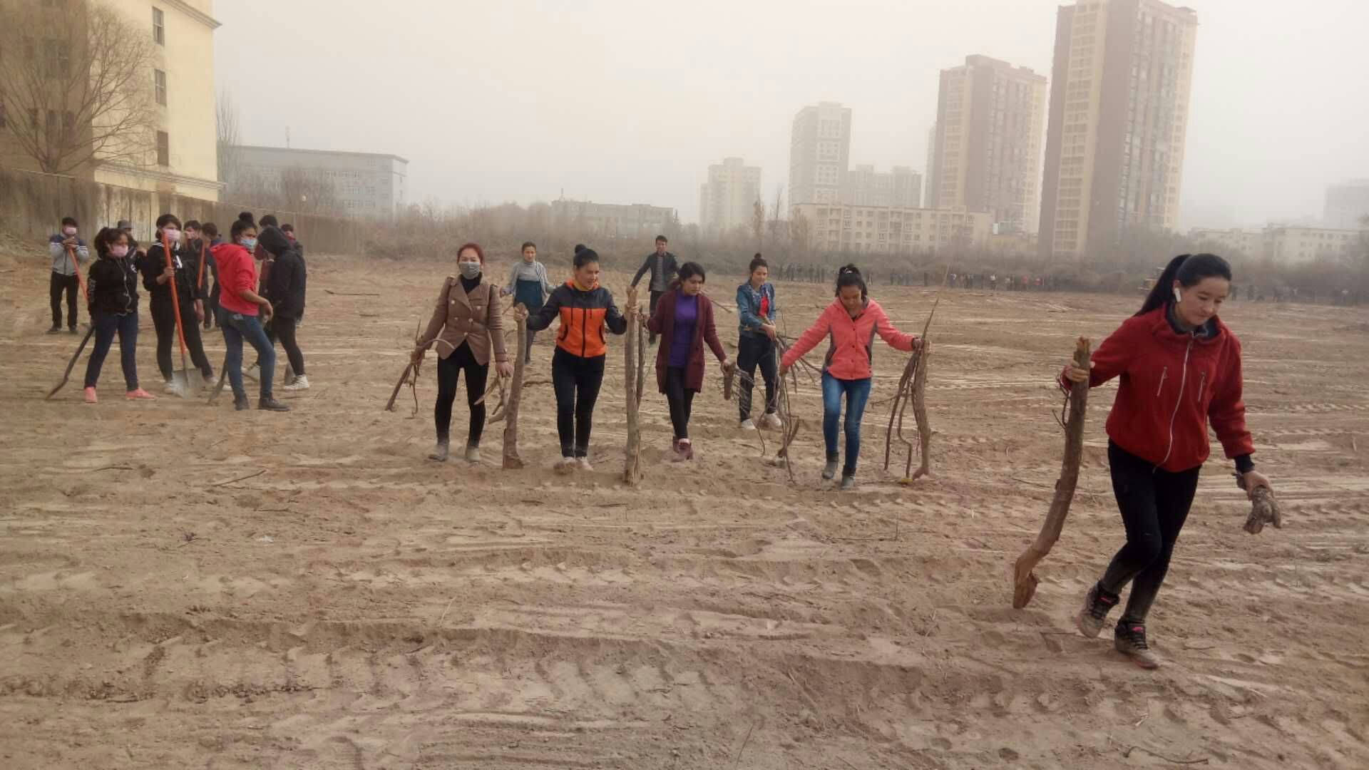 生物工程系师生参加建设校内实训基地劳动