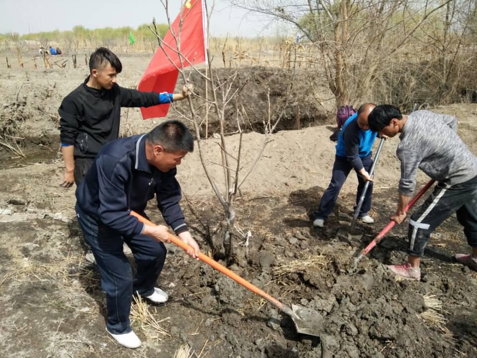 植树造林添绿意   师生携手美校园