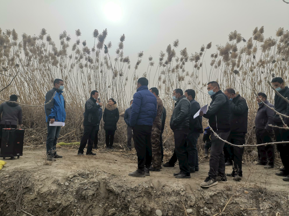 科技服务进果园 帮农助农暖农心——生物工程学院携手欧科生物有限公司共赴温宿县托甫汗镇核桃园开展科技服务活动