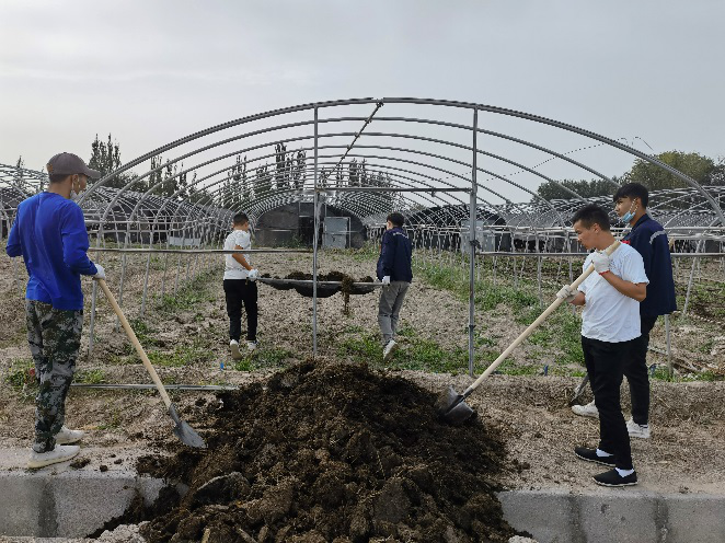 科技助农促生产 乡村振兴携手行——生物工程学院师生开展科技“三下乡”活动