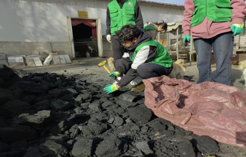 流浪的星光 温暖的守护——生物工程学院畜牧兽医研习社走进阿克苏小动物救助中心